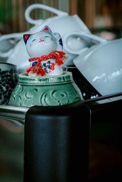 tiến lên di động 8Day